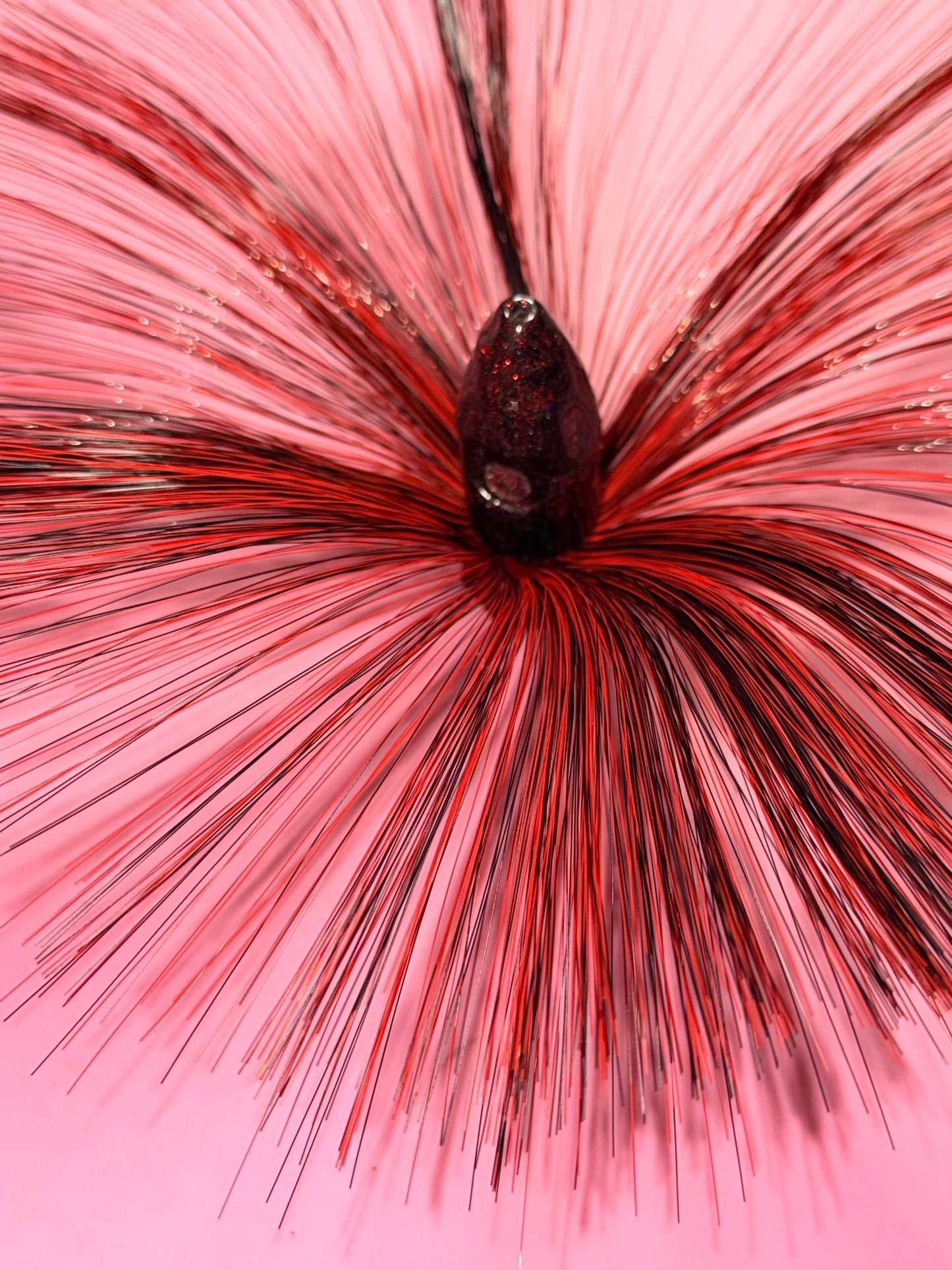 Midnight Executioner